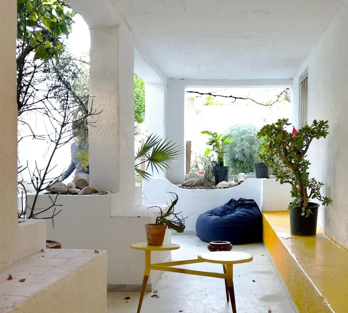 La Maison De Oiseaux Holiday home Carthage